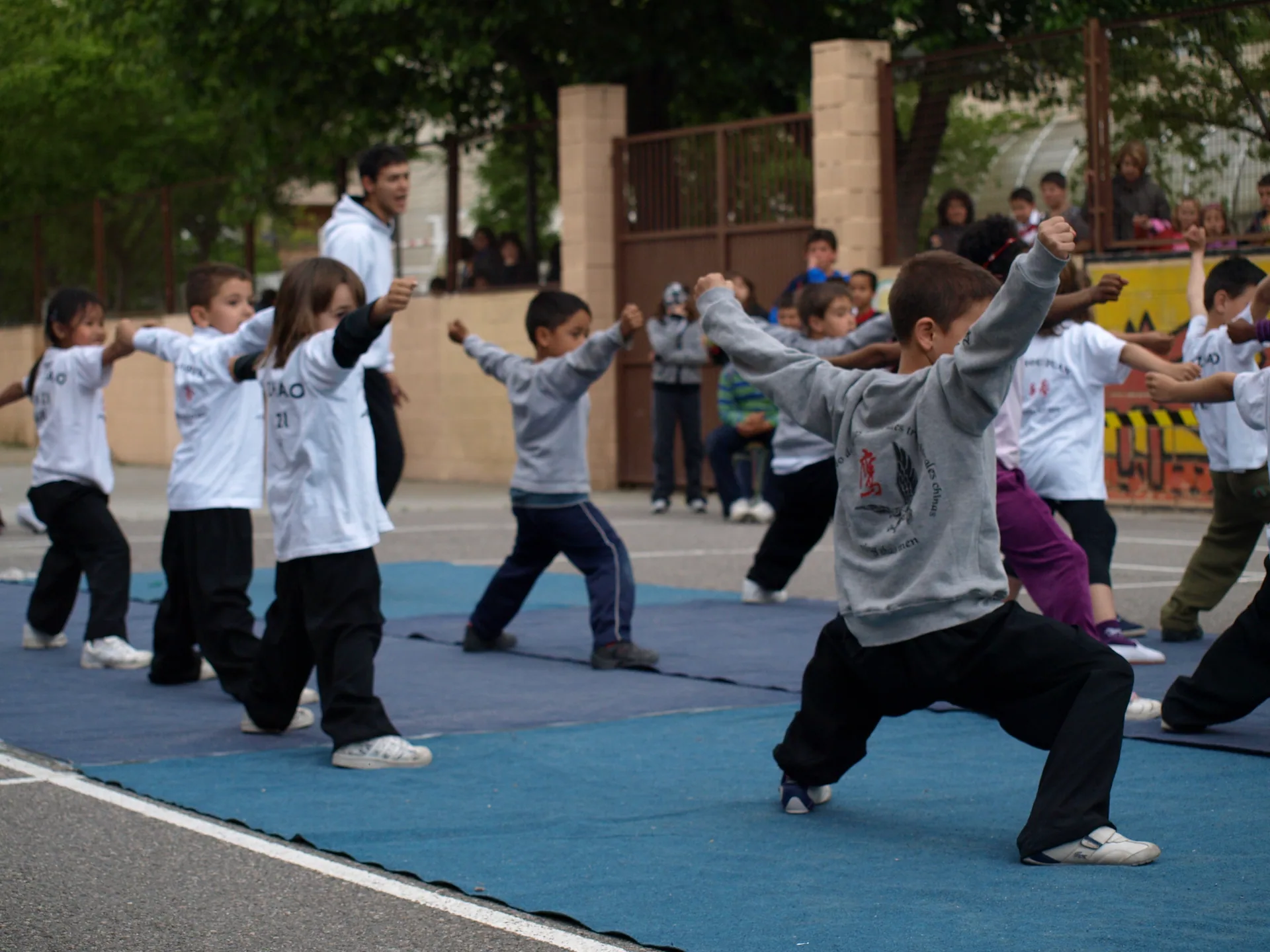Kung Fu Infantil